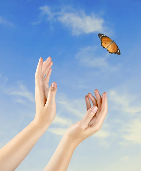 Butterfly flying from hand — Stock Photo, Image