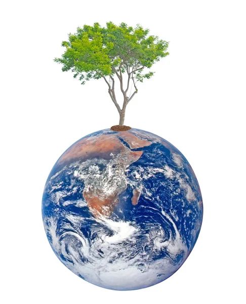 Doğa conservation.elements bu i in sembolü olarak Dünya gezegeni — Stok fotoğraf