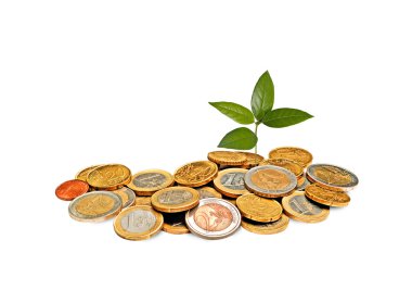 Sapling growing from coins clipart