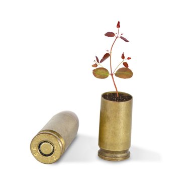 kabuğundan büyüyen fidan