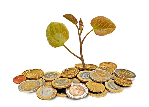 Plantgoed groeien uit munten — Stockfoto