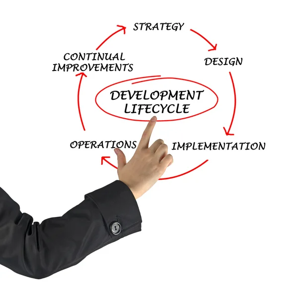 Presentation of development lifecycle — Stock Photo, Image