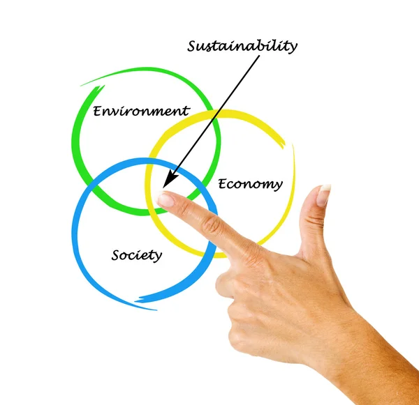 Apresentação do diagrama de sustentabilidade — Fotografia de Stock