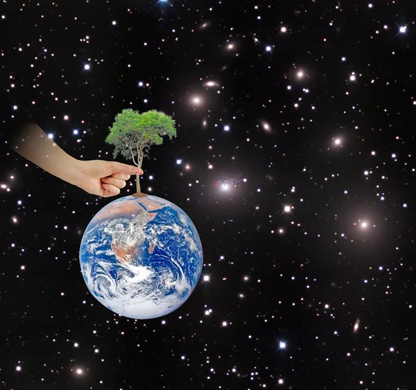 Ree on Earth as a symbol of peace.Elements of this image furnish — Stock Photo, Image