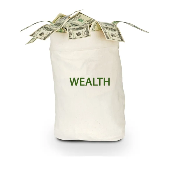 Bolsa con riqueza — Foto de Stock