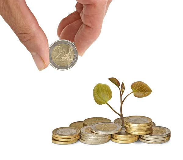 La mano y el árbol crecido de la pila de las monedas — Foto de Stock