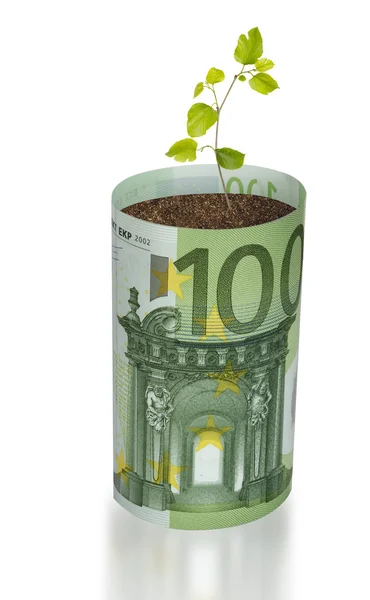 Drzewko rośnie z rachunku euro — Zdjęcie stockowe