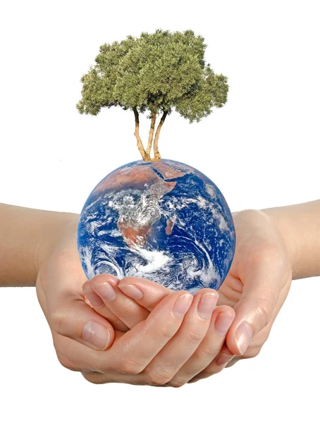 Gift of Earth.Elements of this image furnished by NASA — Stock Photo, Image
