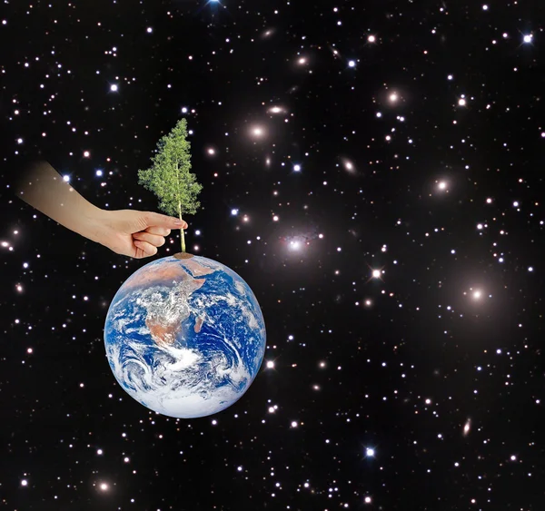 Drzewo na ziemi jako symbol peace.elements ten obraz Lar — Zdjęcie stockowe