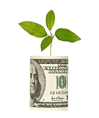 Sapling growing from dollar bill clipart