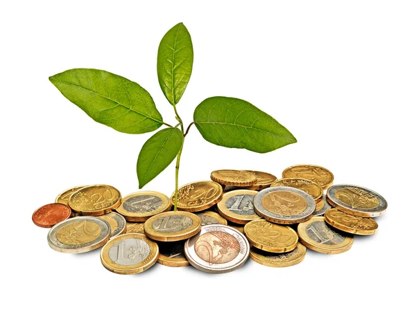 Planta som växer från mynt — Stockfoto