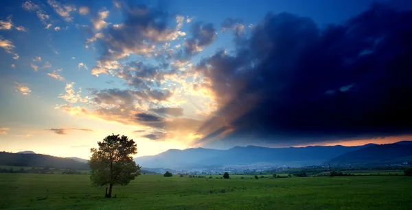 HDR ağaç ve gökyüzü — Stok fotoğraf