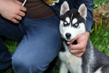 adam ve dış yapraklar