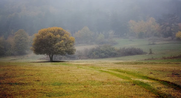 Bulgarian fall landscape — Stock Photo, Image