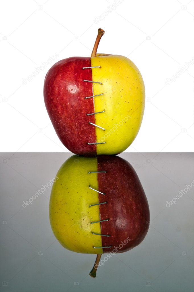 Red and yellow apple halves joined together