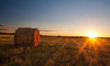 Sunset over grass field clipart