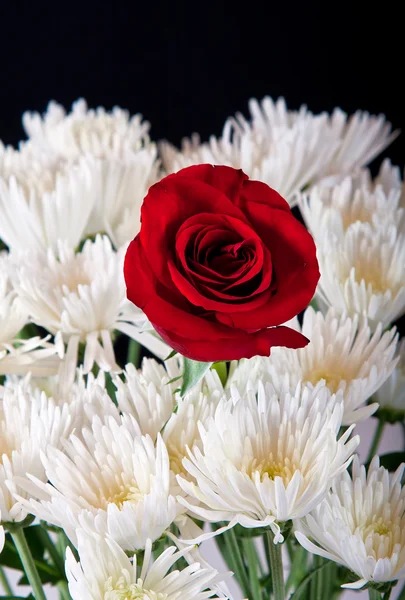白い bouget で単一の赤いバラ — ストック写真