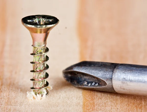 Screwdriver infront of screw — Stock Photo, Image