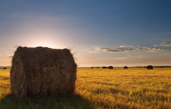 Campo de fardos paisaje —  Fotos de Stock