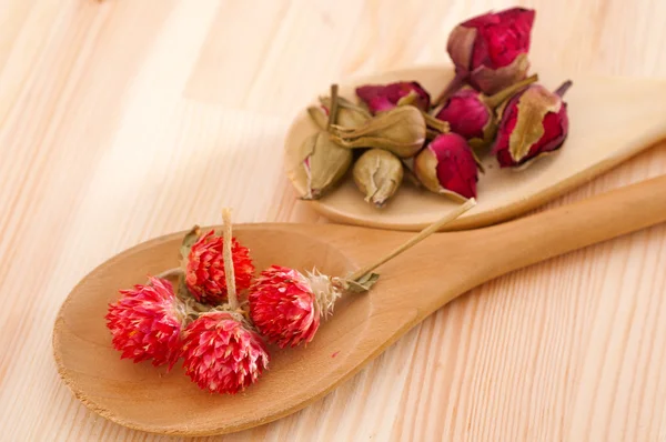 stock image Dry floral herbal tea