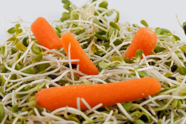 Свежая люцерна и морковь на белом фоне — стоковое фото