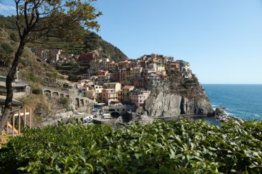 Manarola - one of the cities of Cinque Terre in italy clipart