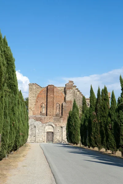Алея поблизу абатство Сан-Galgano — стокове фото