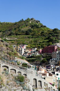 Manarola - İtalya 'nın Cinque Terre kentlerinden biri