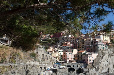 Manarola - İtalya 'nın Cinque Terre kentlerinden biri