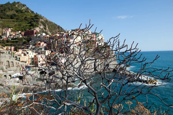 Manarola - İtalya 'nın Cinque Terre kentlerinden biri — Stok fotoğraf