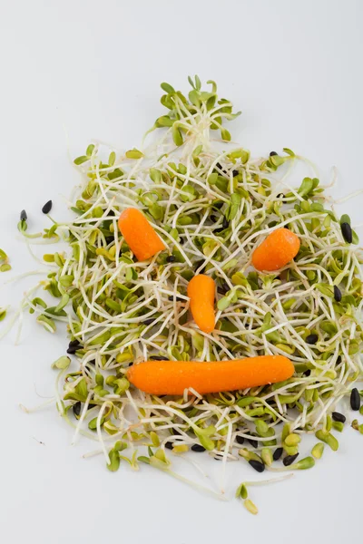 Fresh alfalfa sprouts and carrot isolated on white background — Stock Photo, Image