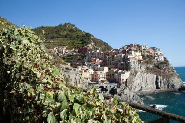 Manarola - İtalya 'nın Cinque Terre kentlerinden biri