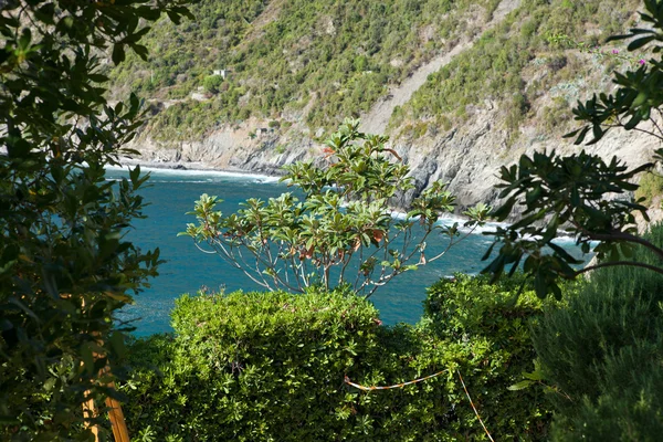 Cinque Terre-coast between Manarola and Corniglia — Stock Photo, Image