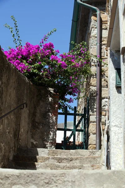 Riomaggiore - İtalya 'nın Cinque Terre kentlerinden biri — Stok fotoğraf