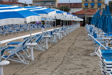 A morning at the beach