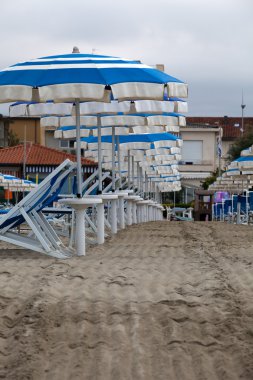 A morning at the beach