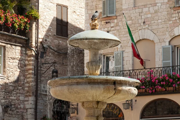 Assisi fontänen på torget — Stockfoto