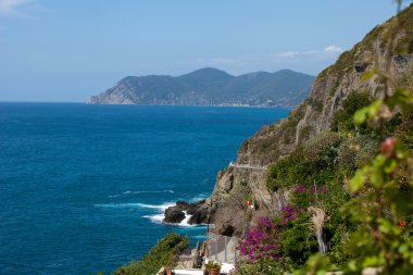 riomaggiore kayalıklardan. Cinque terre, liguria, İtalya