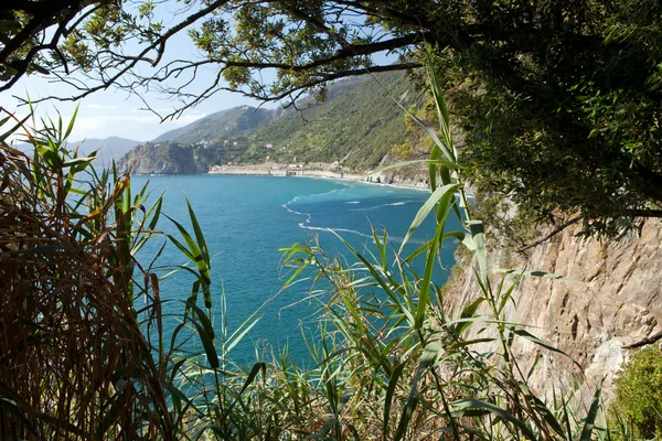 チンクエ ・ テッレ海岸 manarola のとコルニリア間 — ストック写真