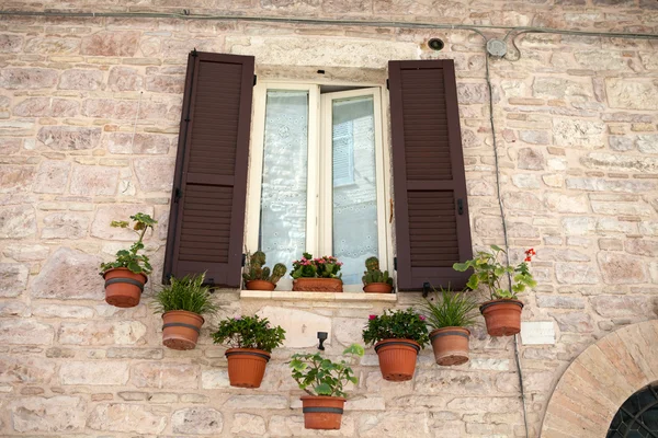 Flowers hangs on the window of a home — Stock Photo, Image