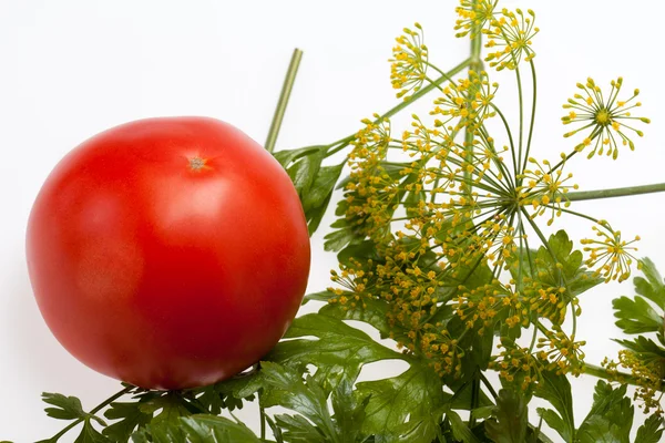 Folhas salsa, tomate e endro — Fotografia de Stock