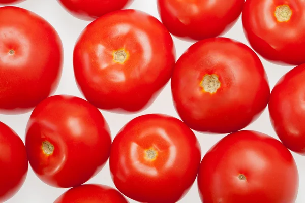 Stock image Fresh Tomatoes