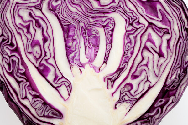 Red Cabbage