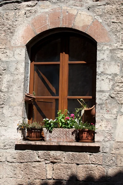 Цветы висят на окне дома — стоковое фото