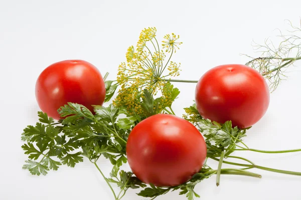 Leaves parsley, tomatoes and dill — Stock Photo, Image