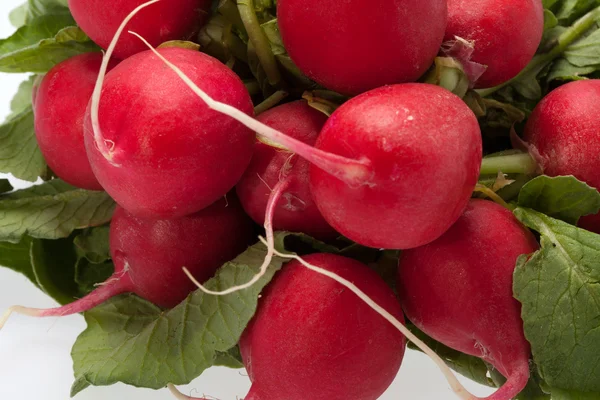 stock image Garden radish on white background