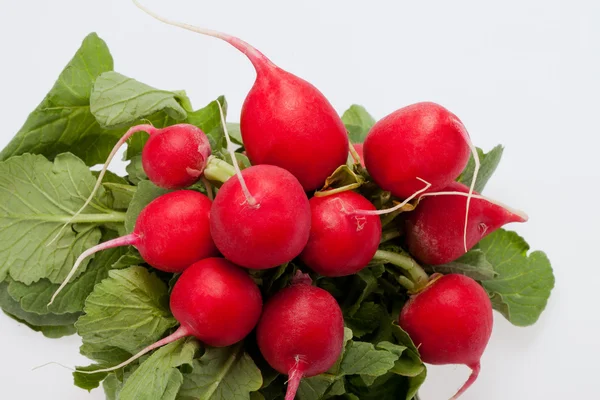 stock image Garden radish on white background