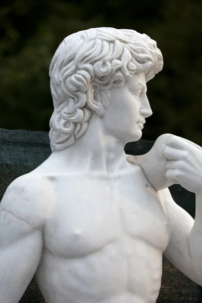 大卫雕像的副本 — 图库照片