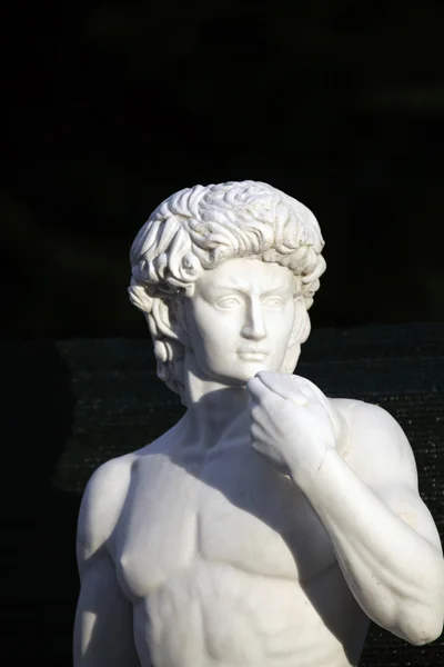 Kopia posągu Dawida — Zdjęcie stockowe