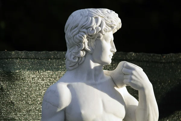Kopia av statyn av david — Stockfoto